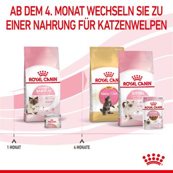 Royal Canin Mother & Babycat Trockenfutter für Katzen