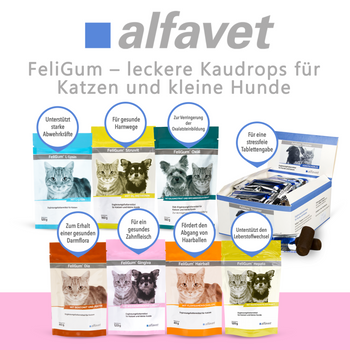 alfavet FeliGum Gingiva für Katzen und kleine Hunde alfavet FeliGum Gingiva für Katzen und kleine Hunde