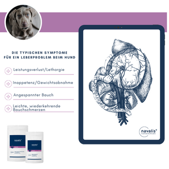 Navalis Heparal Dog für Hunde bei Lebererkrankungen
