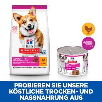Hills Science Plan Small & Mini Adult Mousse für Hunde mit Rindfleisch Dosenfutter