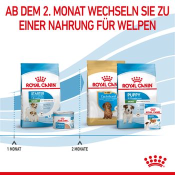 Royal Canin Mini Starter Trockenfutter