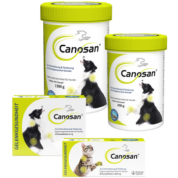 Canosan Hund mit Gonex von Boehringer Ingelheim