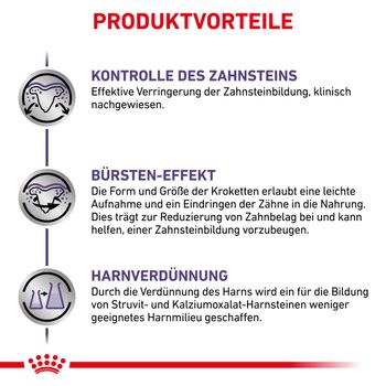 Royal Canin Dental Small Dogs Trockenfutter für Hunde