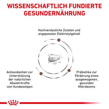 Royal Canin Gastrointestinal Puppy für junge Hunde