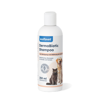 alfavet DermaBiotic Shampoo für Hunde und Katzen