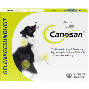 Canosan Hund mit Gonex von Boehringer Ingelheim