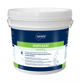 Navalis metrasal breeding Horse