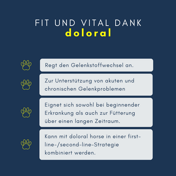 Navalis Doloral Dog Navalis Doloral Dog