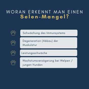 Navalis Orthosal Selen Dog für Hunde Navalis Orthosal Selen Dog für Hunde