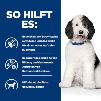 Hills Urinary Care c/d Multicare Ragout in Dosen für Hunde