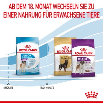 Royal Canin Giant Junior Welpentrockenfutter für sehr große Hunde