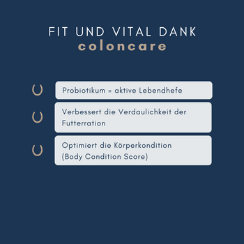 Navalis coloncare Pulver für Pferde