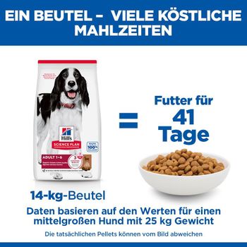 Hills Science Plan Canine Adult Medium Hund Trockenfutter