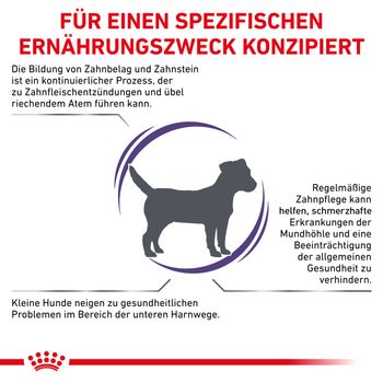 Royal Canin Dental Small Dogs Trockenfutter für Hunde
