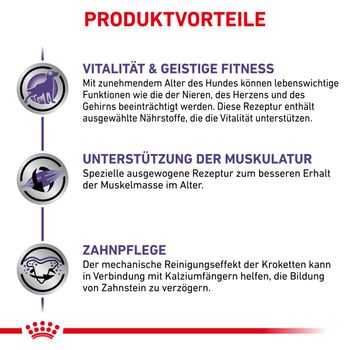 Royal Canin Mature Consult Small Dogs Trockenfutter für Hunde