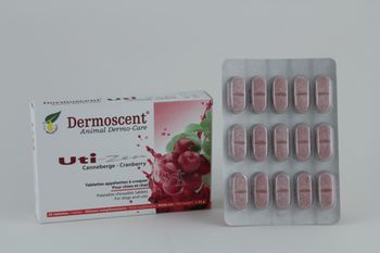 Selectavet Uti-Zen Hund + Katze Kautabletten