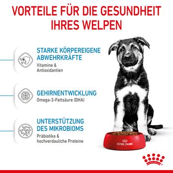Royal Canin Maxi Puppy Trockenfutter für Welpen großer Rassen