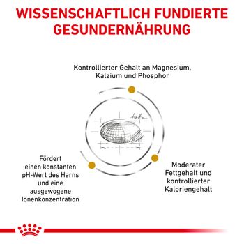 Royal Canin Urinary S/O Moderate Calorie Trockenfutter für Katzen