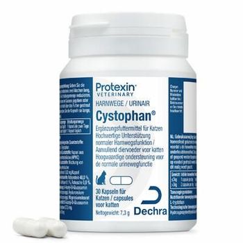 Dechra Cystophan für Katzen
