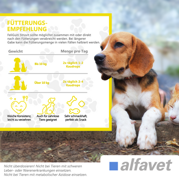 alfavet FeliGum Struvit