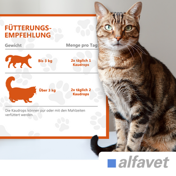 alfavet FeliGum Dia für Katzen