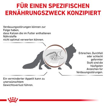 Royal Canin Gastrointestinal Trockenfutter für Katzen