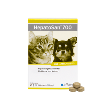 alfavet HepatoSan für die Leber von Hund und Katze
