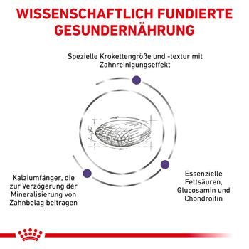 Royal Canin Dental Medium & Large Dogs Trockenfutter für Hunde