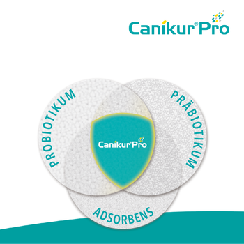 Boehringer Ingelheim Canikur Pro