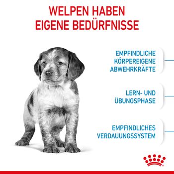Royal Canin Medium Puppy Trockenfutter für Welpen mittelgroßer Hunderassen Royal Canin Medium Puppy Trockenfutter für Welpen mittelgroßer Hunderassen