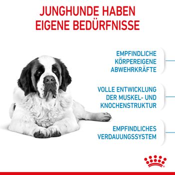 Royal Canin Giant Junior Welpentrockenfutter für sehr große Hunde