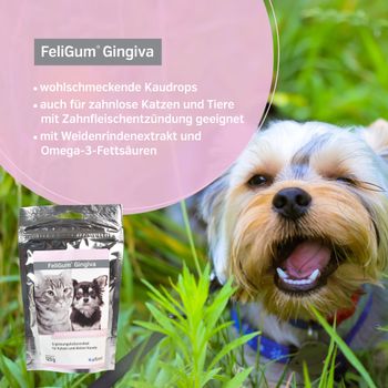 alfavet FeliGum Gingiva für Katzen und kleine Hunde alfavet FeliGum Gingiva für Katzen und kleine Hunde