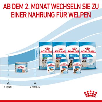 Royal Canin Starter Ultra Soft Mousse für Welpen