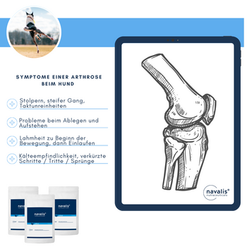 Navalis Arthral Dog für Hunde Navalis Arthral Dog für Hunde