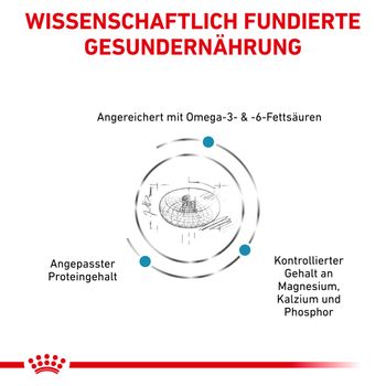 Royal Canin Skin & Coat Trockenfutter für Katzen Royal Canin Skin & Coat Trockenfutter für Katzen