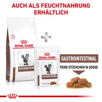 Royal Canin Gastrointestinal Trockenfutter für Katzen