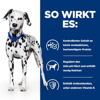 Hills u/d Dosenfutter für Hunde