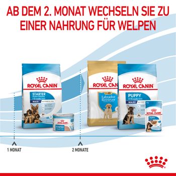 Royal Canin Maxi Starter Trockenfutter