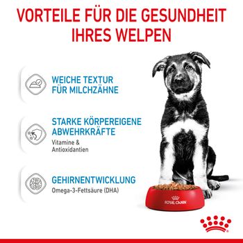Royal Canin Maxi Puppy Frischebeutel in Soße