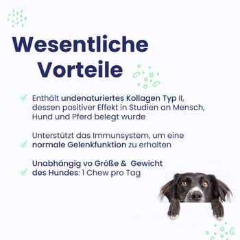 Vetoquinol Flexadin Advanced Hund