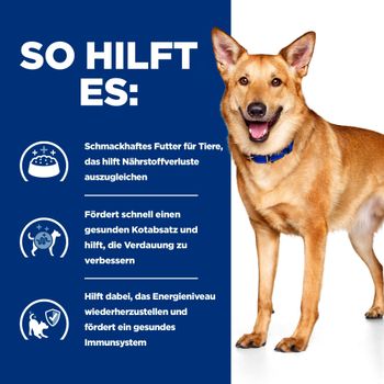 Hills i/d Hundefutter mit Truthahn in kleinen Dosen
