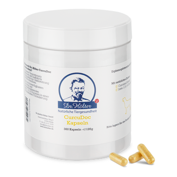 Dr. Hölter CurcuDoc Kurkuma für Hunde