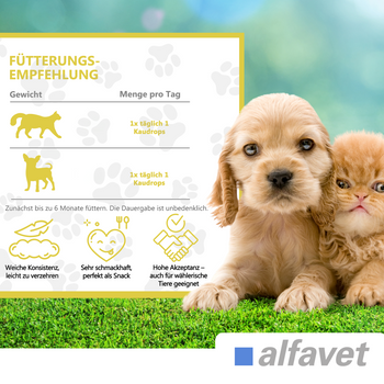 alfavet FeliGum Hepato für Hund und Katze alfavet FeliGum Hepato für Hund und Katze