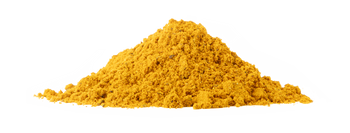 Navalis Doloral Dog Navalis Doloral Dog