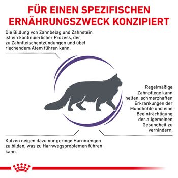 Royal Canin Dental Trockenfutter für Katzen Royal Canin Dental Trockenfutter für Katzen