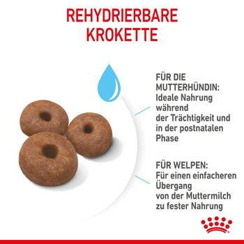 Royal Canin Giant Starter Trockenfutter