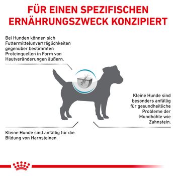 Royal Canin Hypoallergenic Small Dogs Trockenfutter für Hunde Royal Canin Hypoallergenic Small Dogs Trockenfutter für Hunde