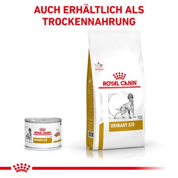Royal Canin Urinary S/O Mousse Dosenfutter für Hunde
