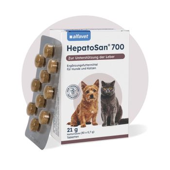 alfavet HepatoSan für die Leber von Hund und Katze