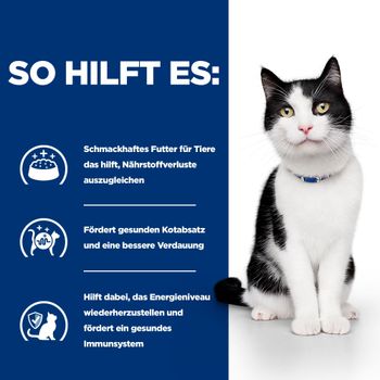 Hills i/d mit ActivBiome+ Ragout in Dosen für Katzen